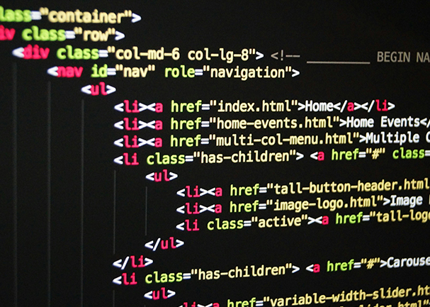 WordPress Plugins